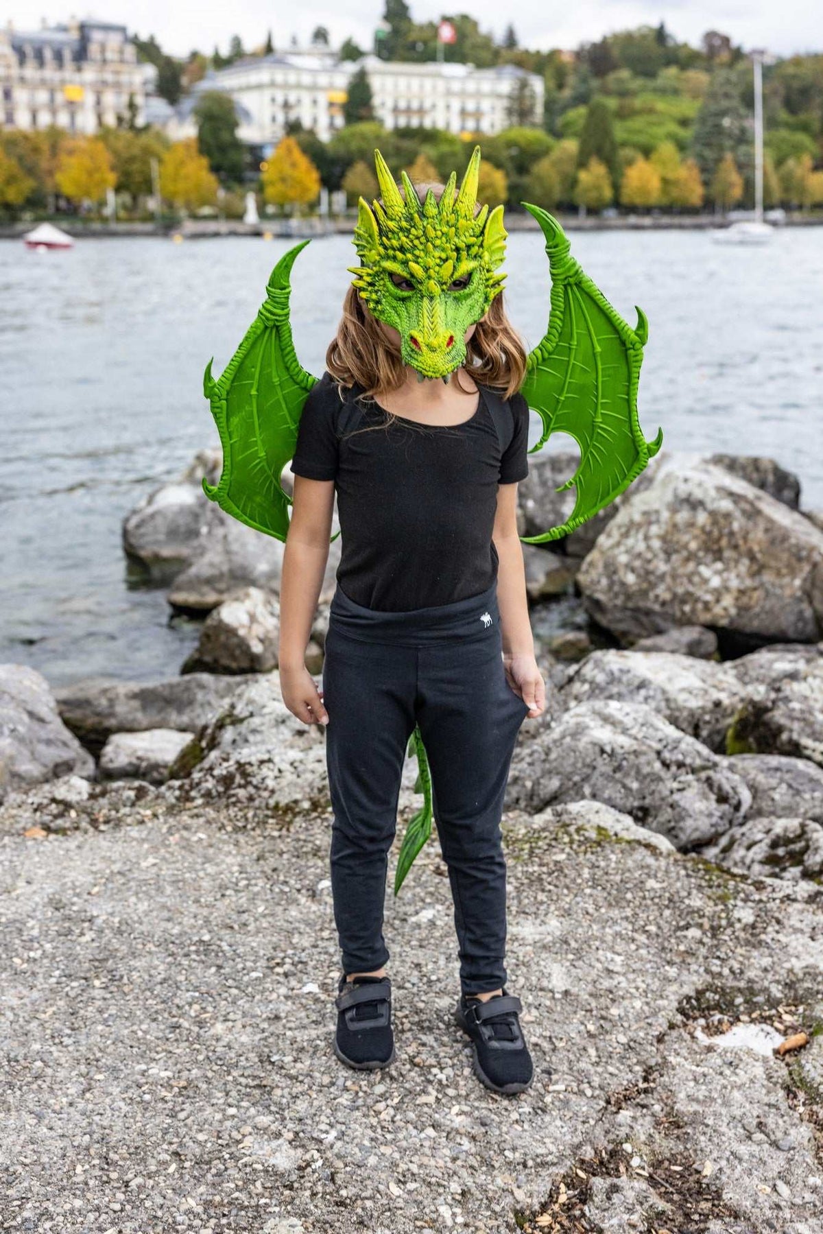 Drachenflügel