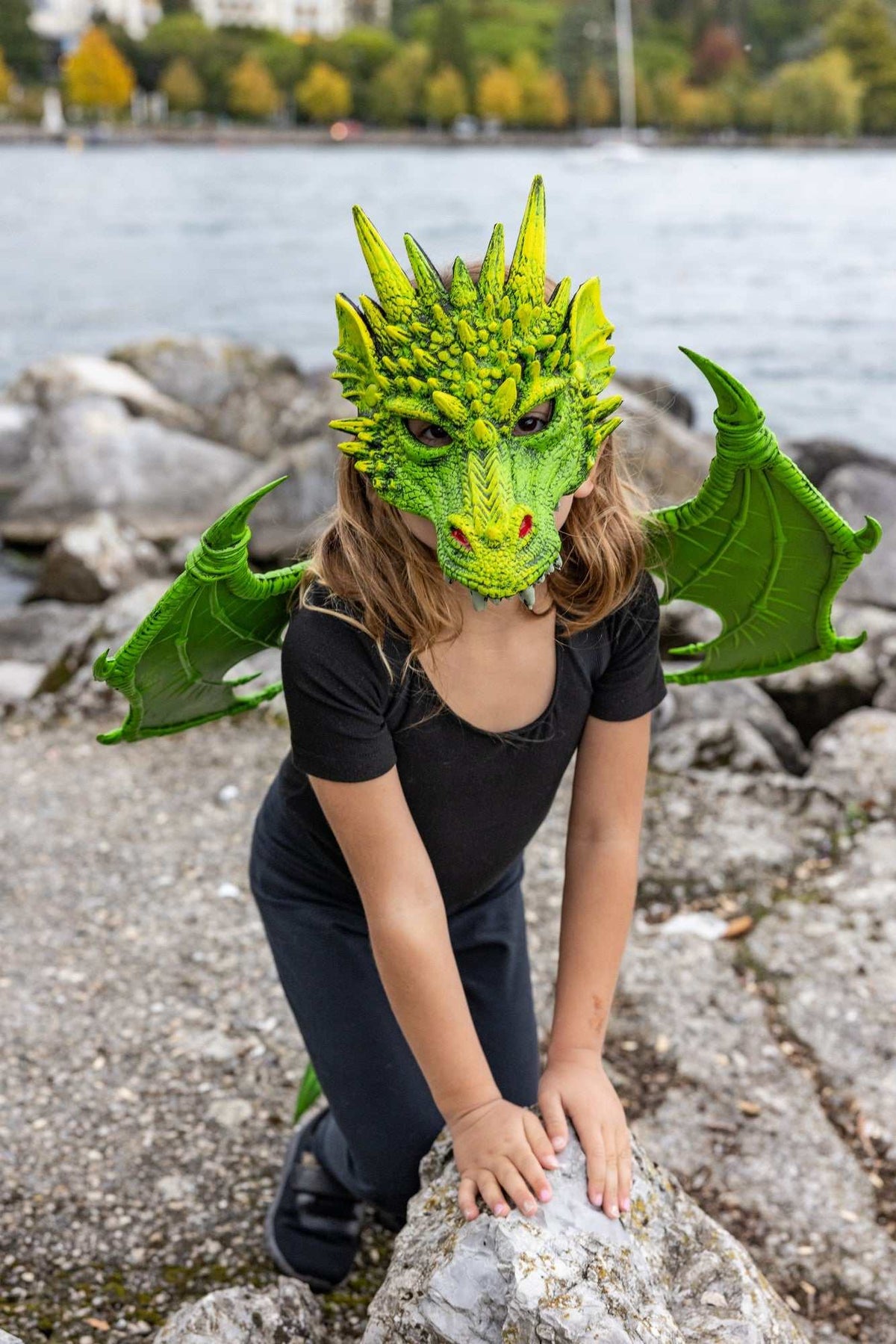 Drachenflügel