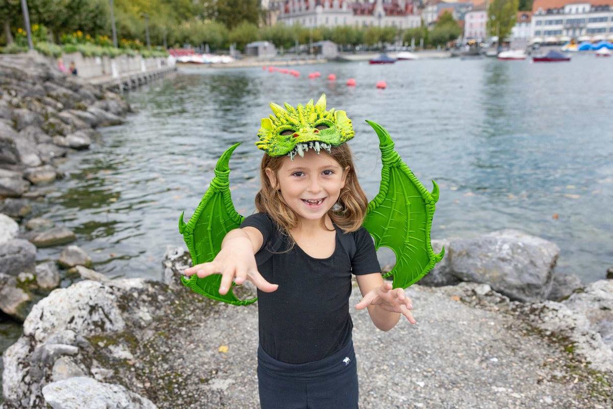 Drachenflügel