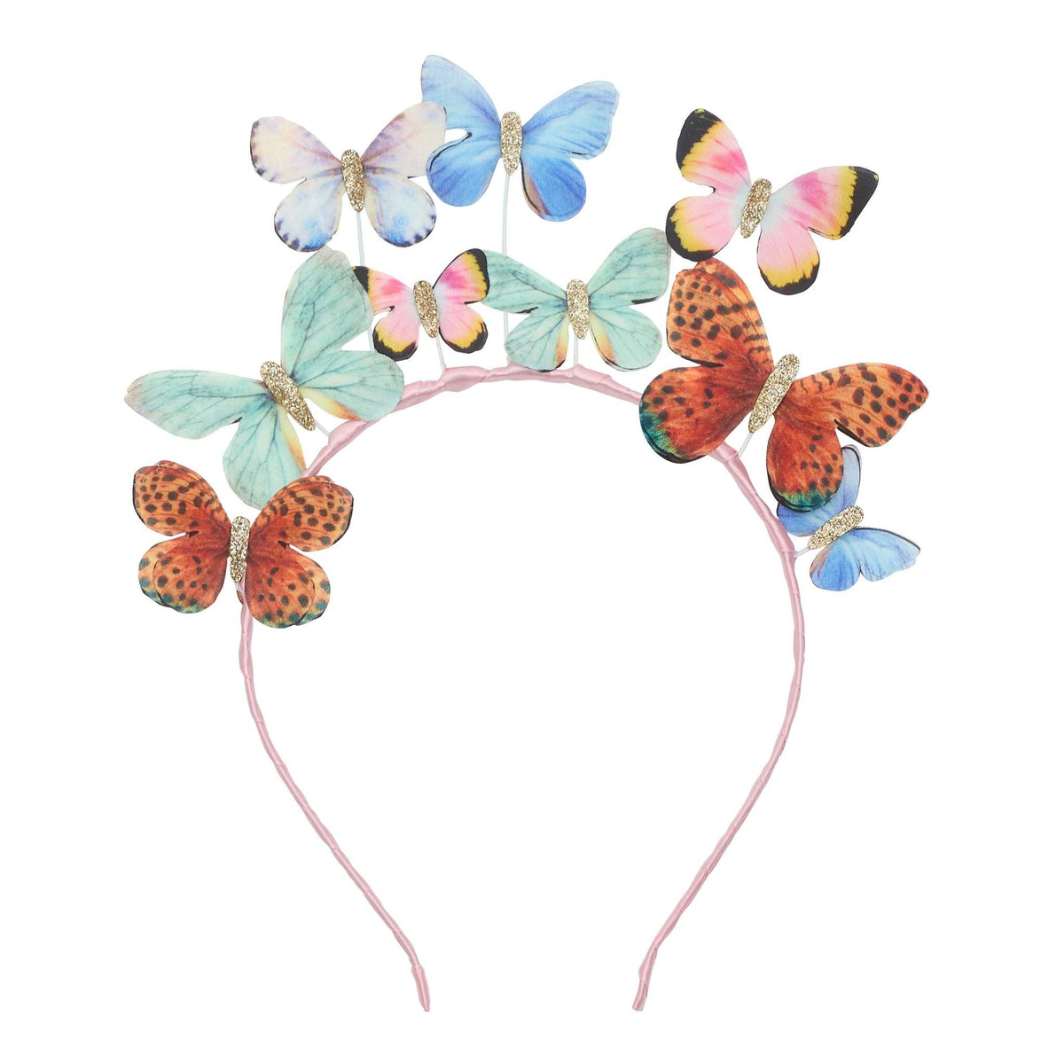 Haarreif Schmetterling