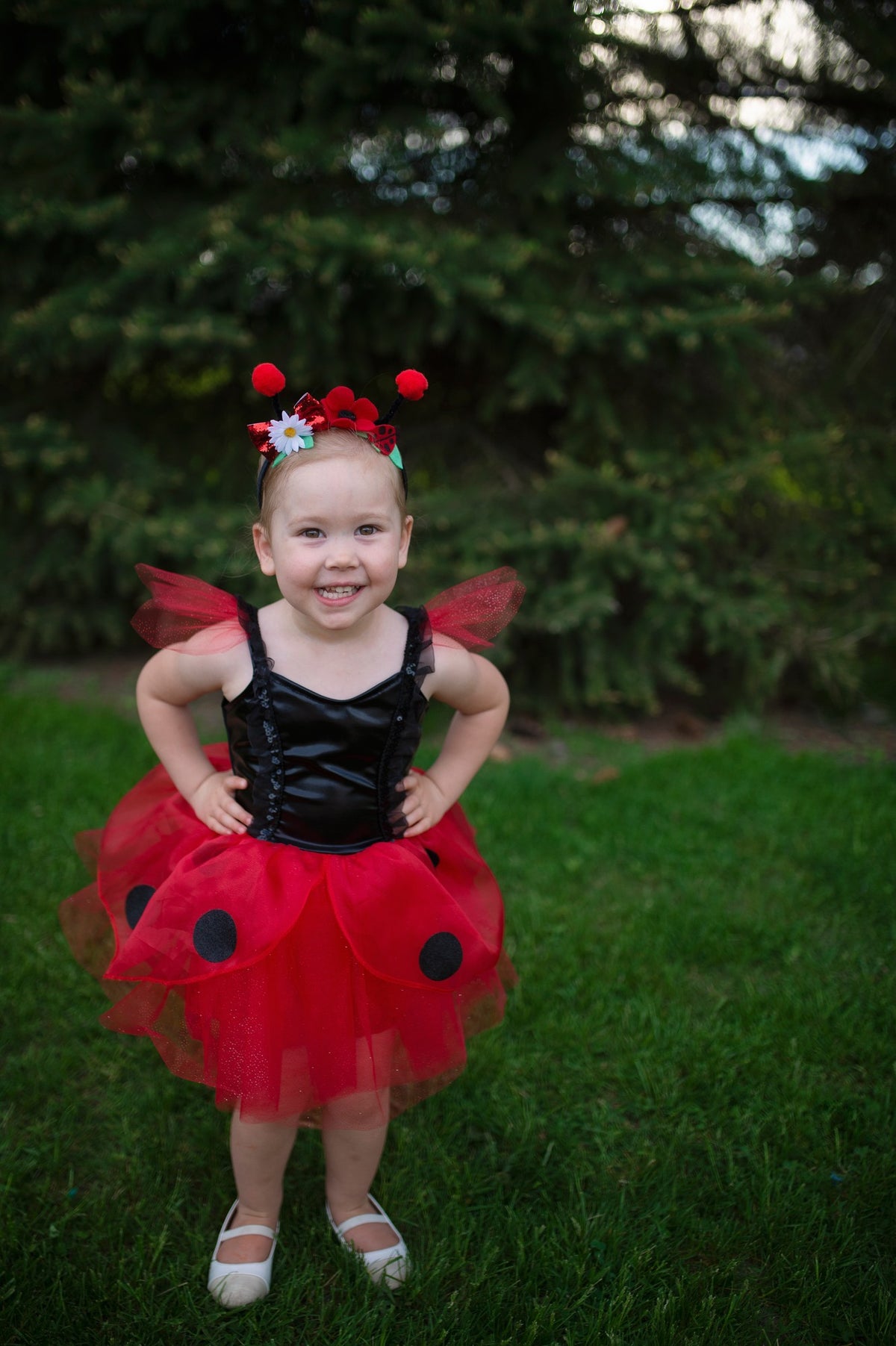 Marienkäfer Kleid mit Stirnband 3-4 Jahre
