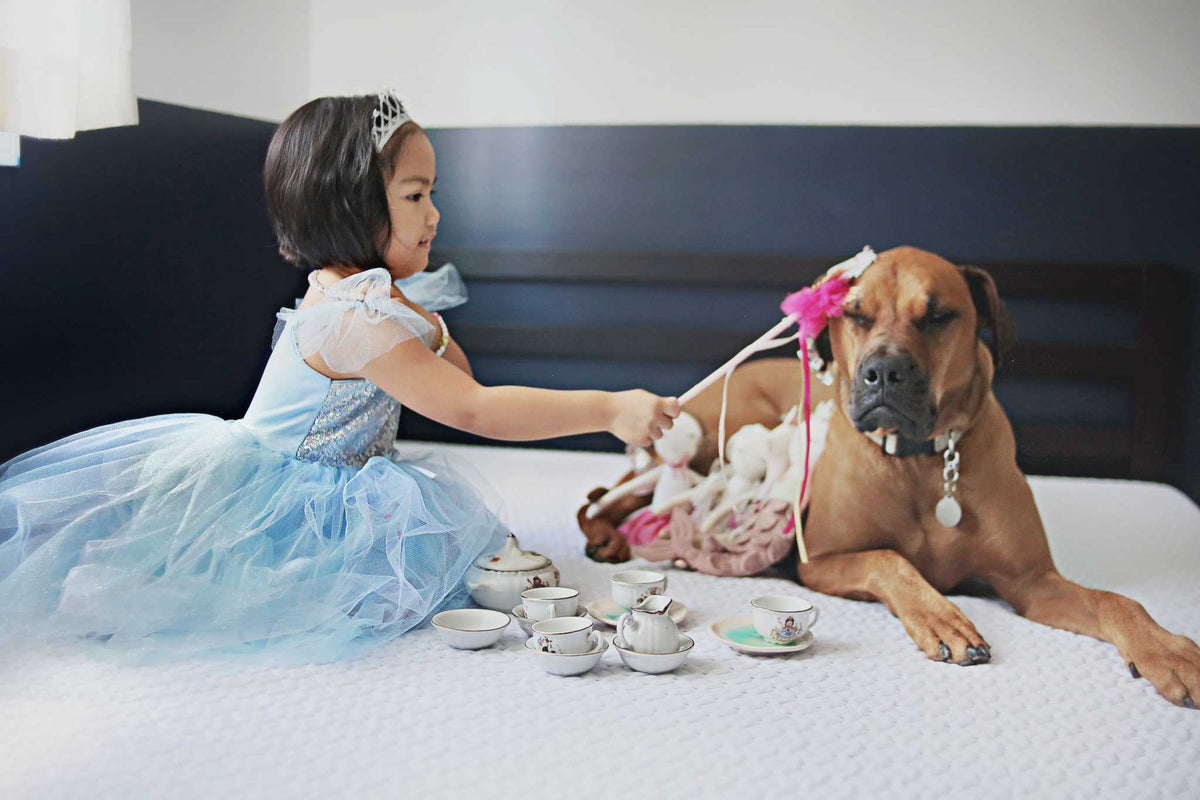 Blaues Paillettenkleid Prinzessin 3-4 Jahre