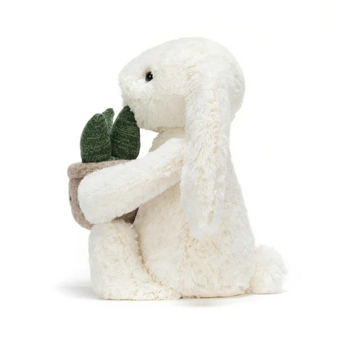 Hase mit Pflanze