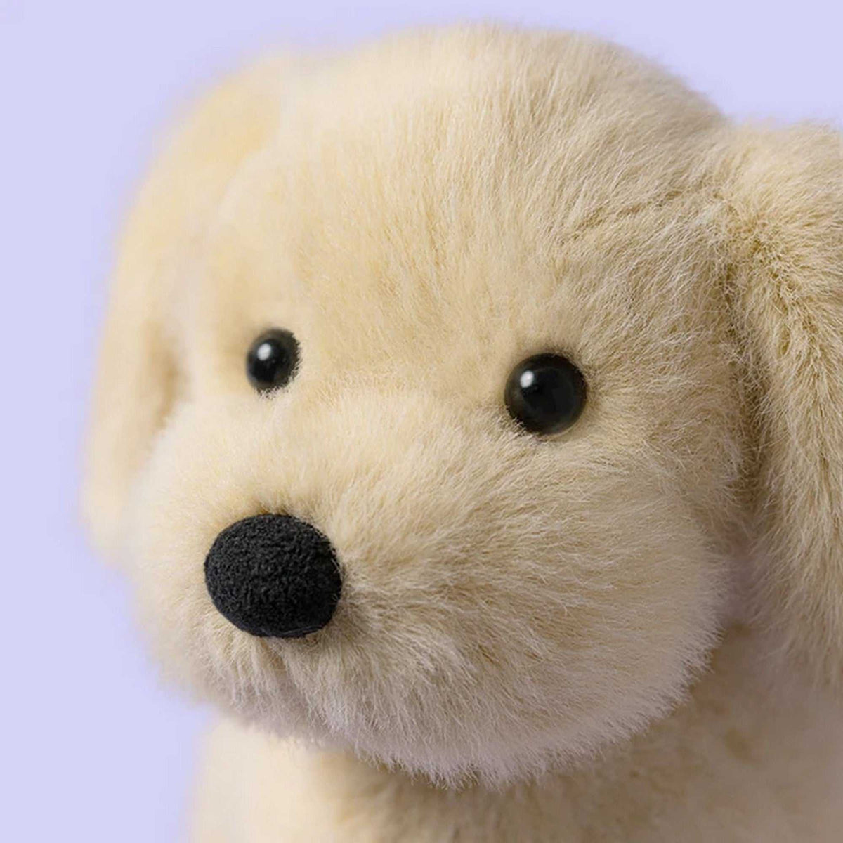 Golden Puppy Honey