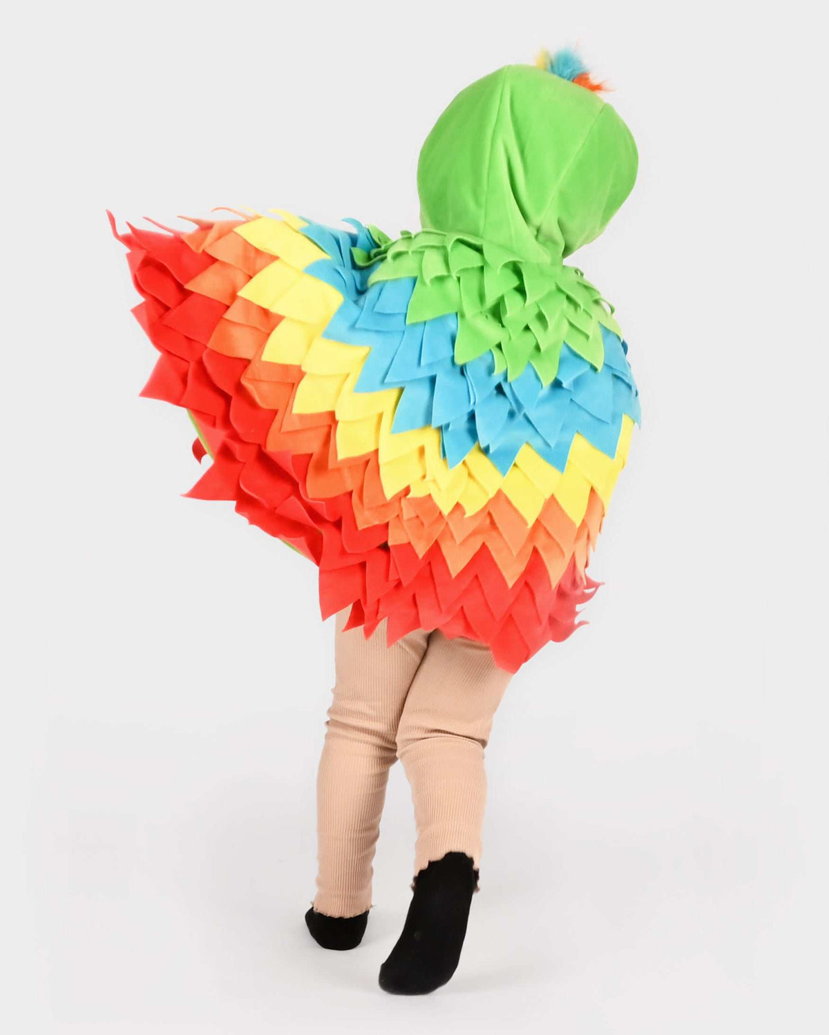 Mini Cape Papagei 1-4 Jahre