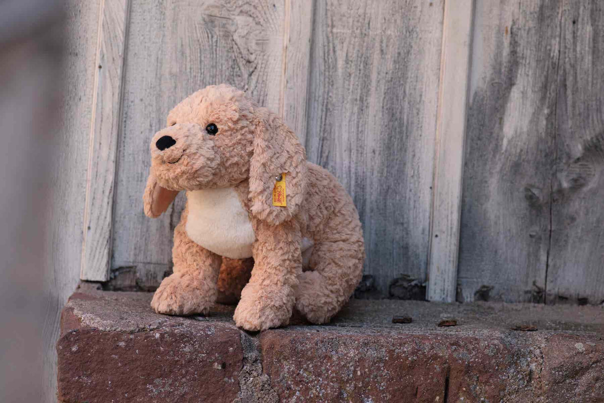 Berno Goldendoodle