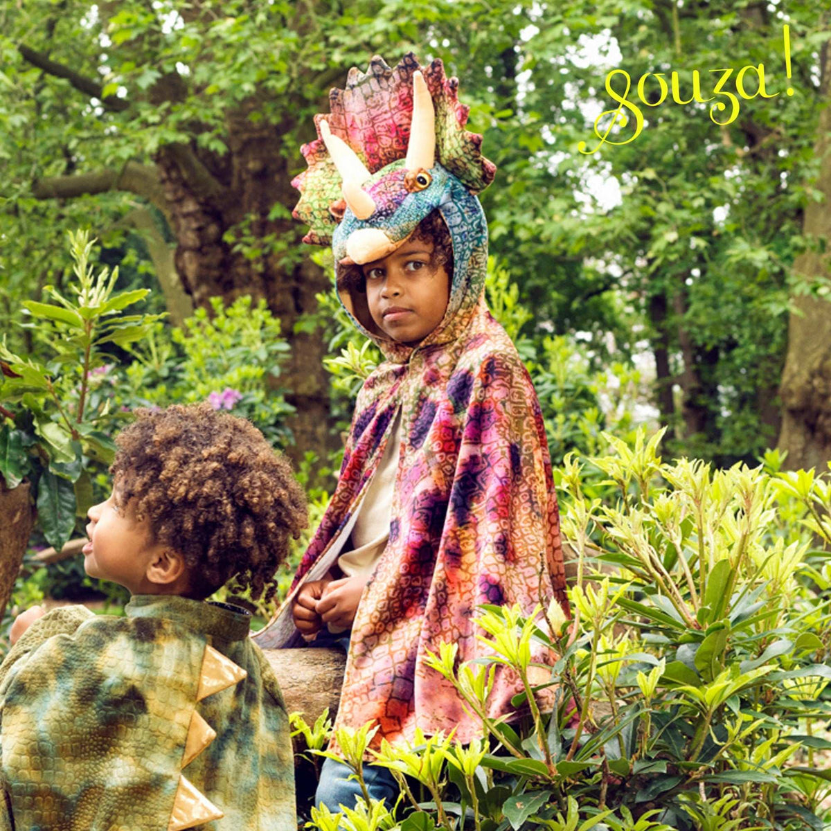 Cape Triceratops 4-7 Jahre