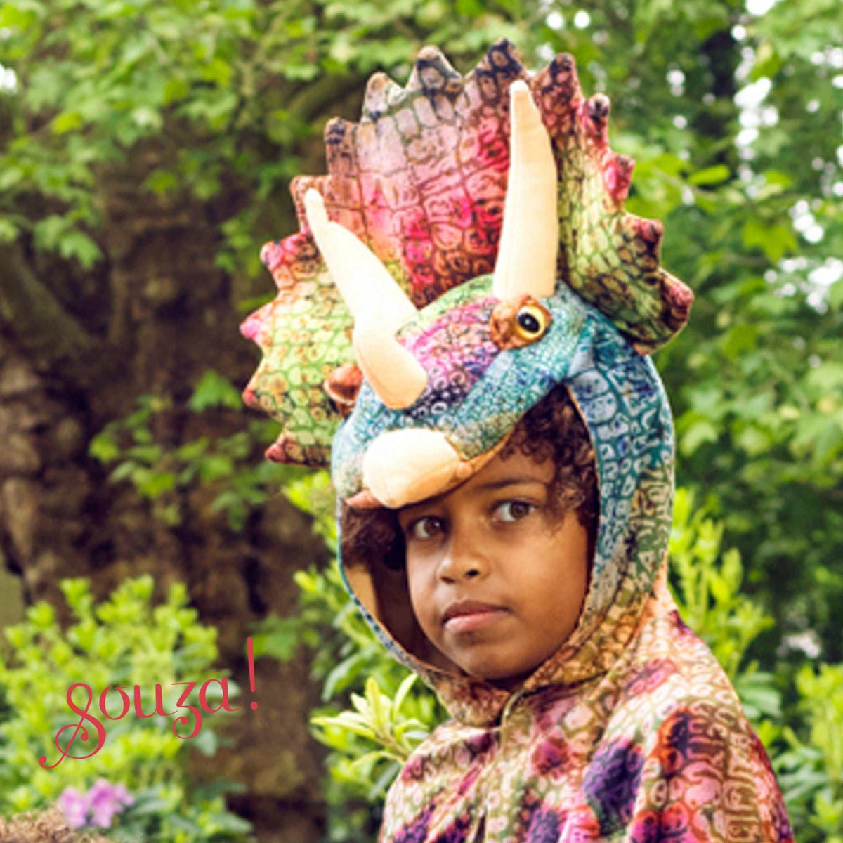 Cape Triceratops 4-7 Jahre