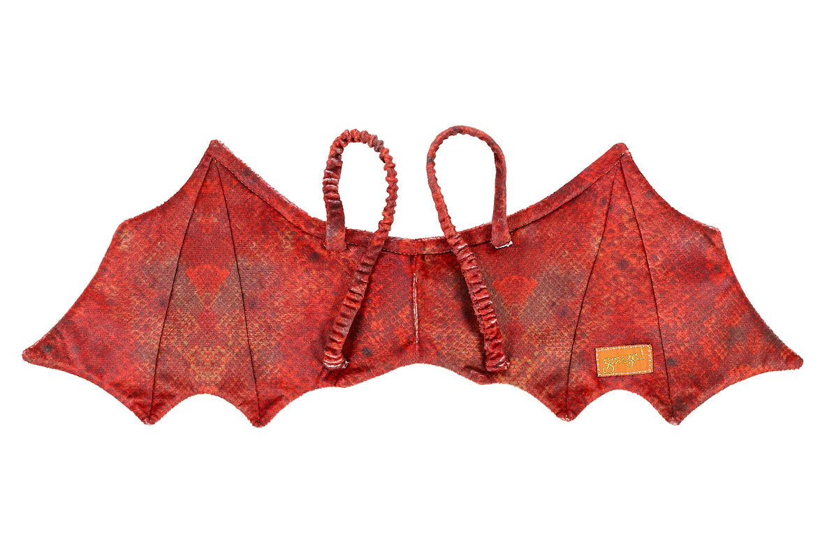 Rote Drachenflügel + Maske