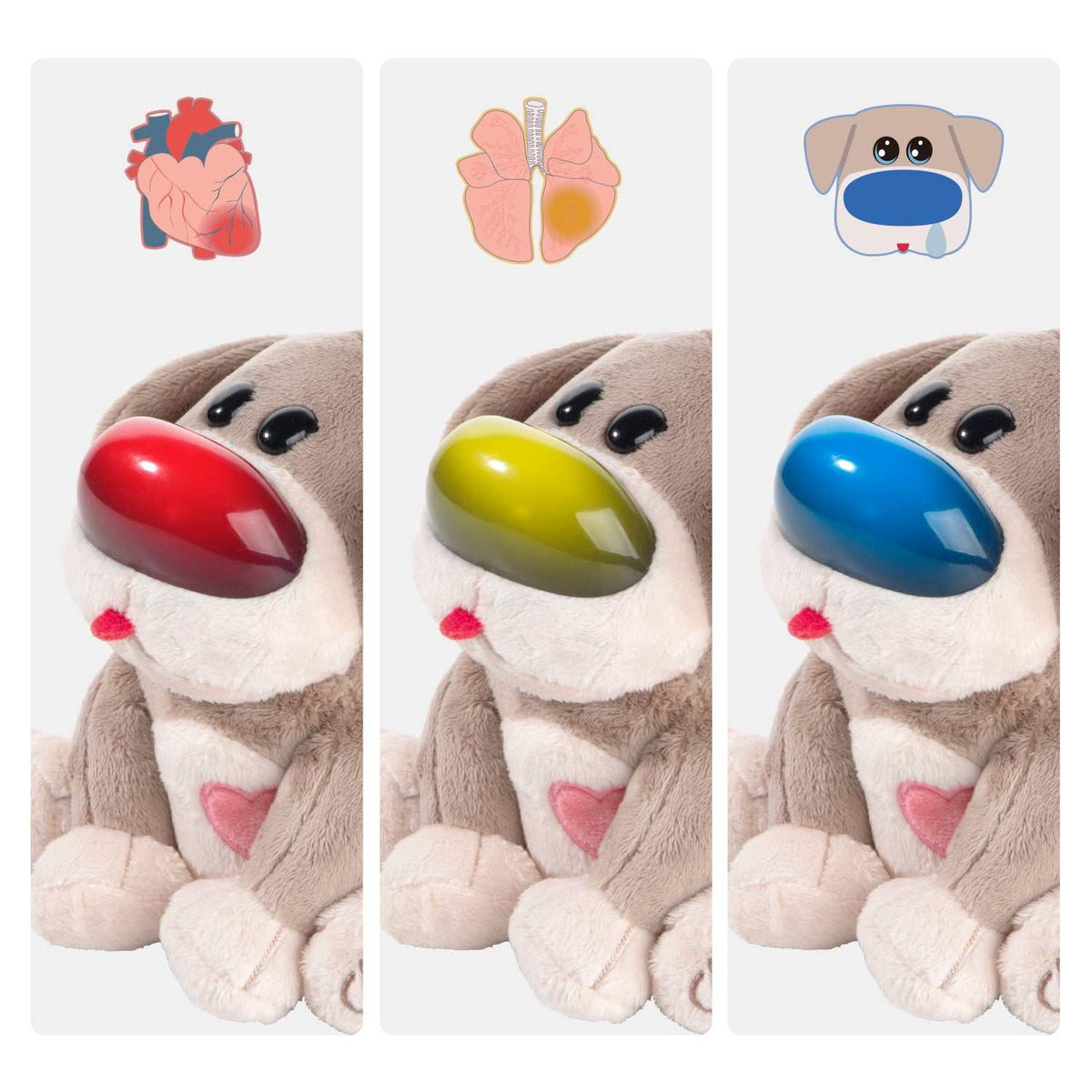 Haustier Dr. Dog