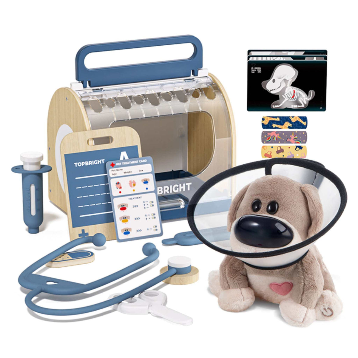 Haustier Dr. Dog