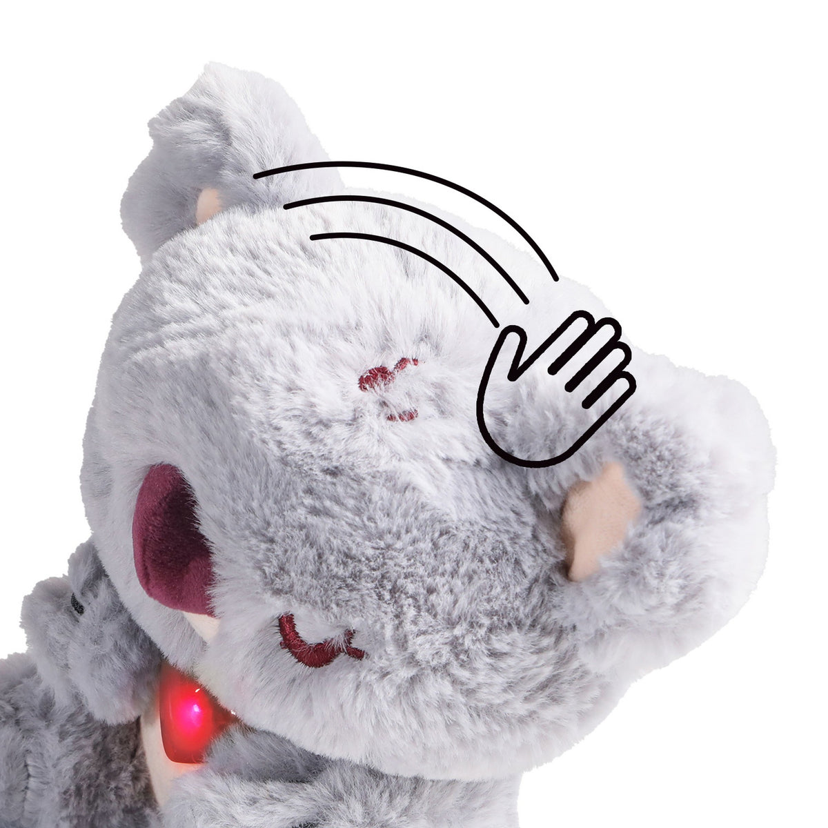 Haustier Baby Koala