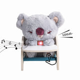 Haustier Baby Koala