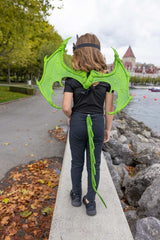 Drachenflügel