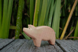 Schwein