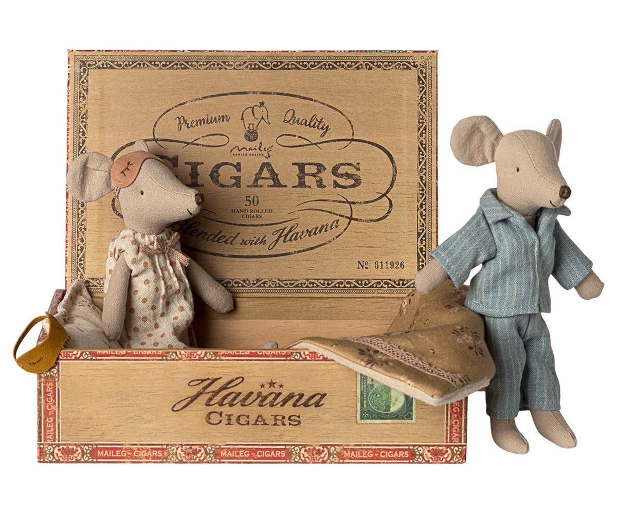 Mama & Papa Mäuse in Zigarrenkiste
