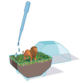 Mini Terrarium - Löwe