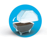 Mini Terrarium - Löwe