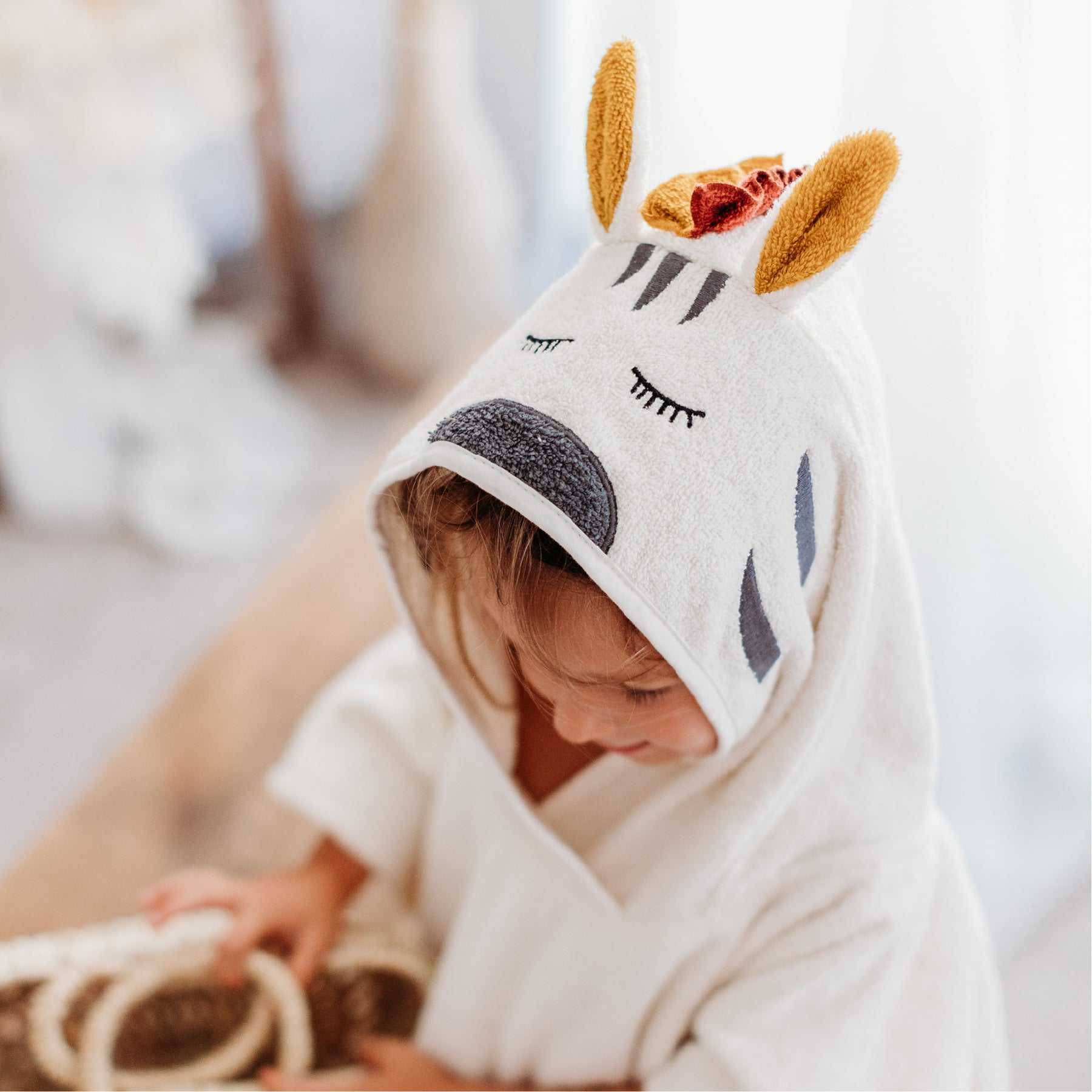 Poncho Zebra