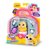 Chirpy Chick Ouchies S2 Mini