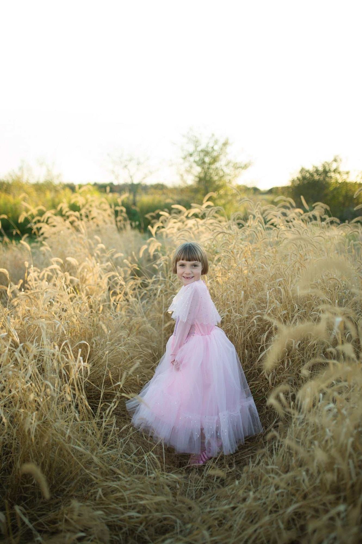 Prinzessinnen Kleid Elegant 3-4 Jahre