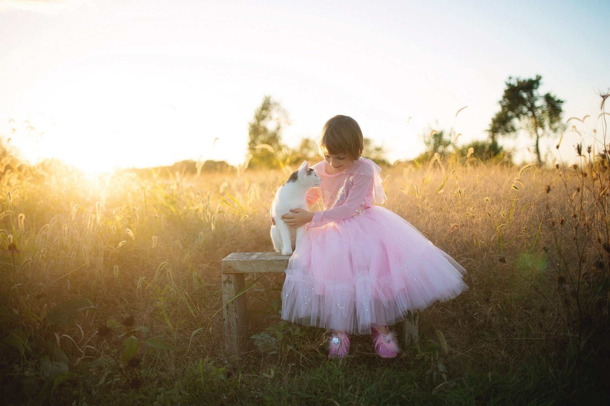 Prinzessinnen Kleid Elegant 3-4 Jahre