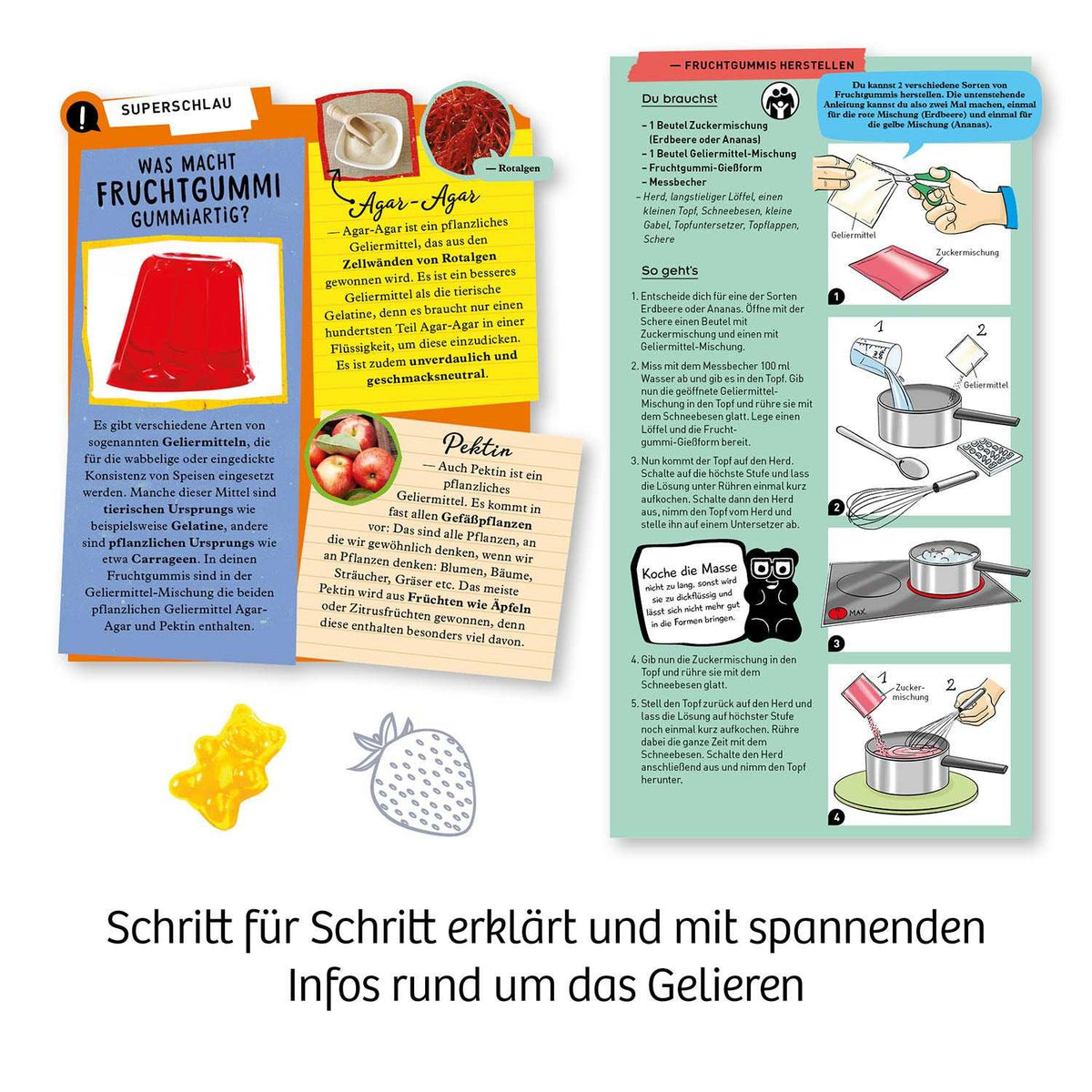 Fun Science Fruchtgummi-Labor