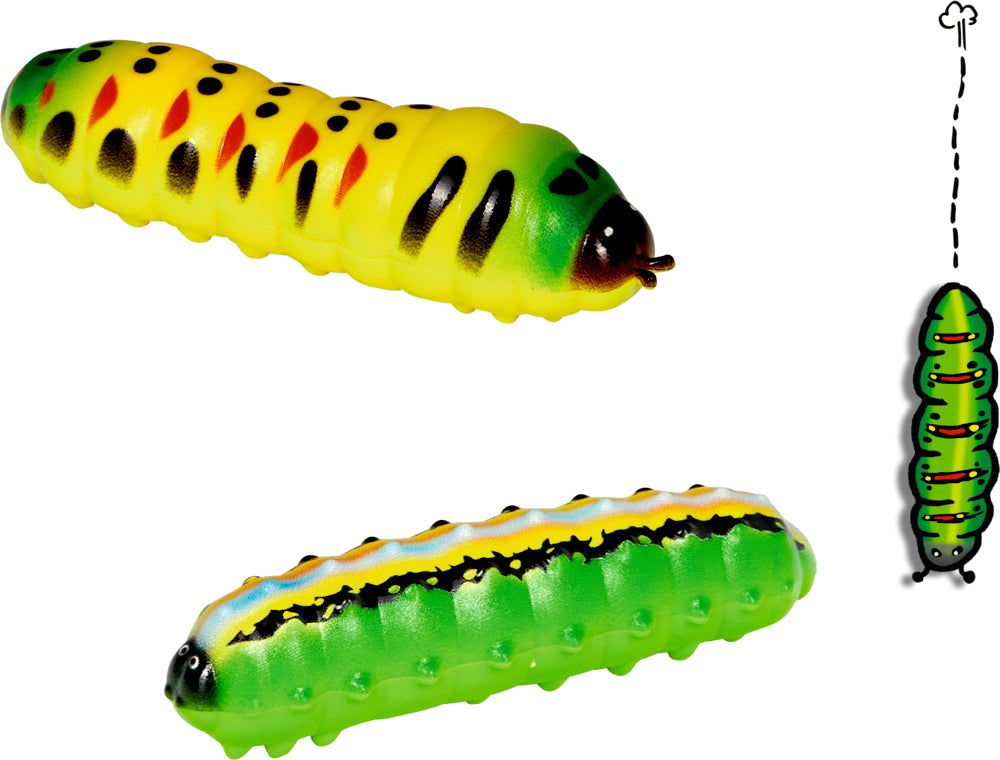 Fenster-Krabbler - Wild+Cool