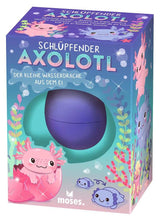 Schlüpfende Axolotl