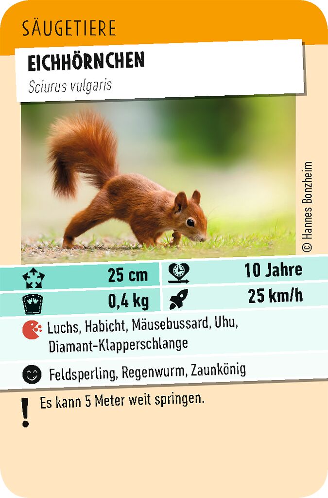 Tiere Toppen - Ein Trumpf-Stichspiel