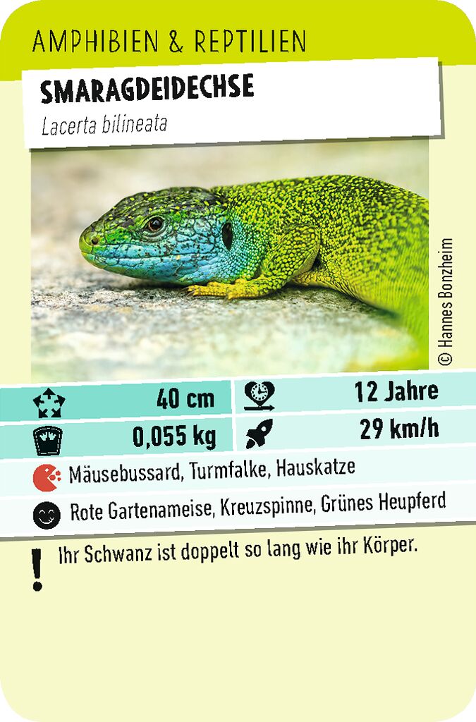 Tiere Toppen - Ein Trumpf-Stichspiel