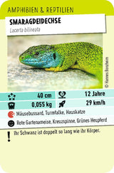 Tiere Toppen - Ein Trumpf-Stichspiel