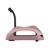 Lauflernwagen Walkn' Roll 2in1 Ecologic