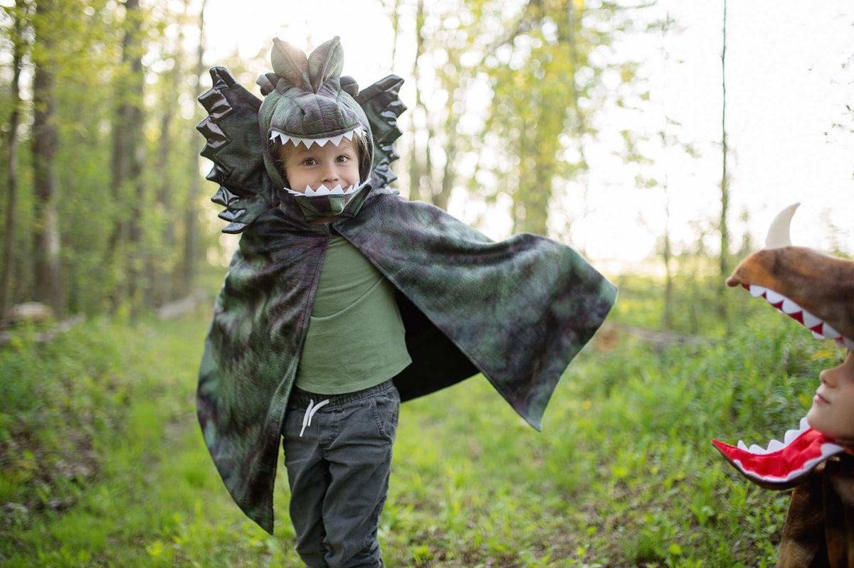 Dinosaurier Kostüm 4-6 Jahre