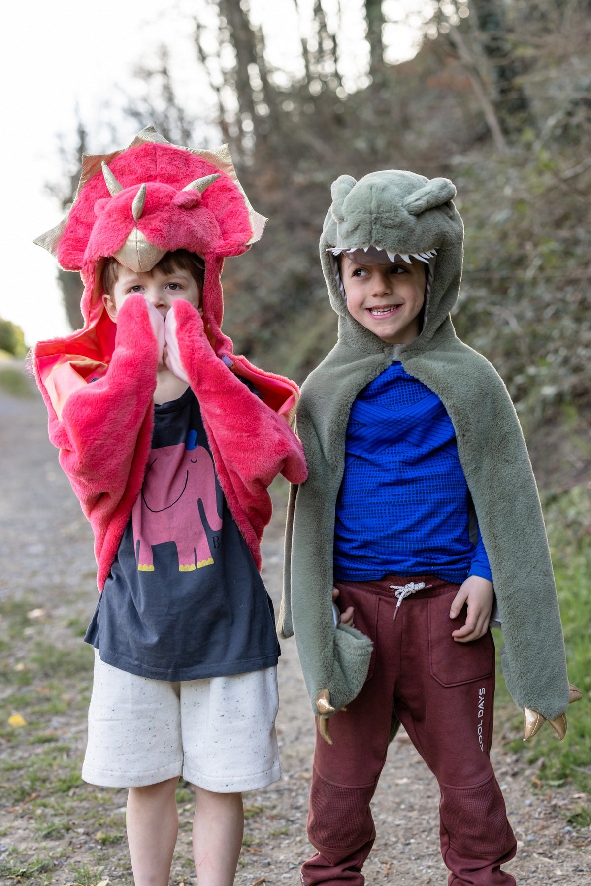 Triceratops Kuschelumhang 3-4 Jahre