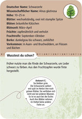 Expedition Natur 50 Heimische Bäume
