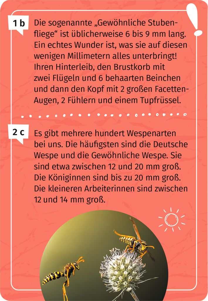 Expedition Natur Mein Becherlupen-Forscherquiz