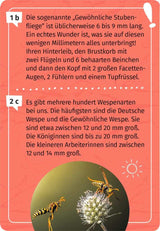 Expedition Natur Mein Becherlupen-Forscherquiz