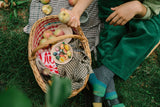Holzspielzeug - Fruits