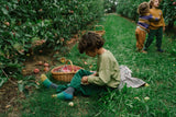 Holzspielzeug - Fruits