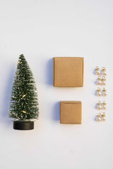 Wichtel Kleines Weihnachtsset