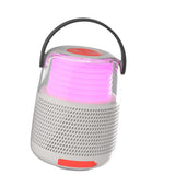 Karaoke System/ grau