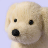 Golden Puppy Honey