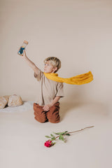 Sensory Bottle/ Der kleine Prinz