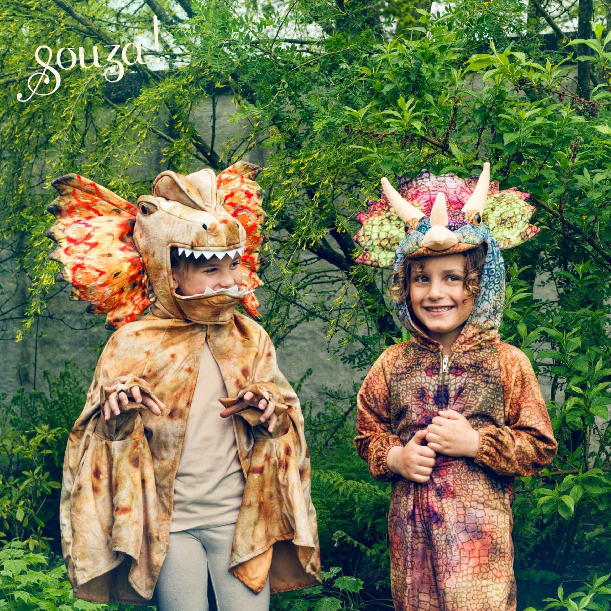 Triceratops- Kostüm 5-7 Jahre