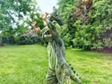 Kostüm T-Rex 3-4 Jahre