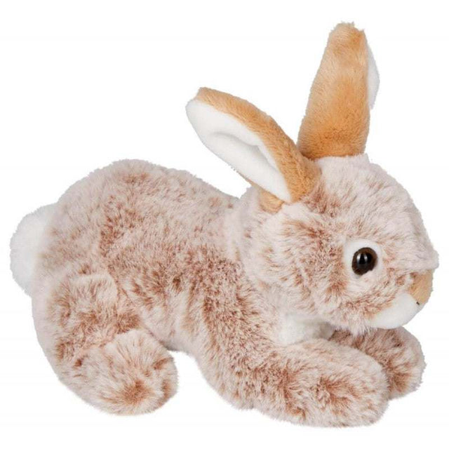 Süße kuschelige Häschen Fröhliche Ostern in liegender und sitzender Variante von Coppenrath